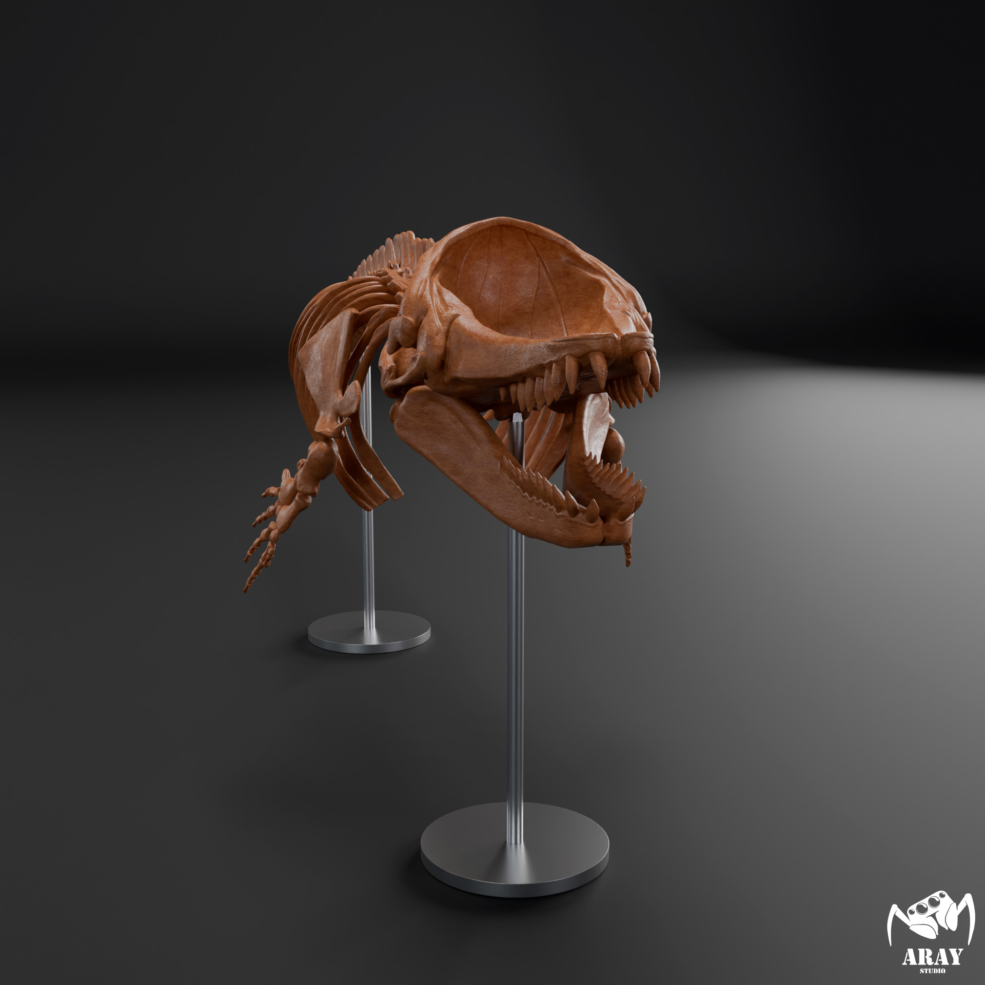 Livyatan melvillei skeleton 3D print model_1