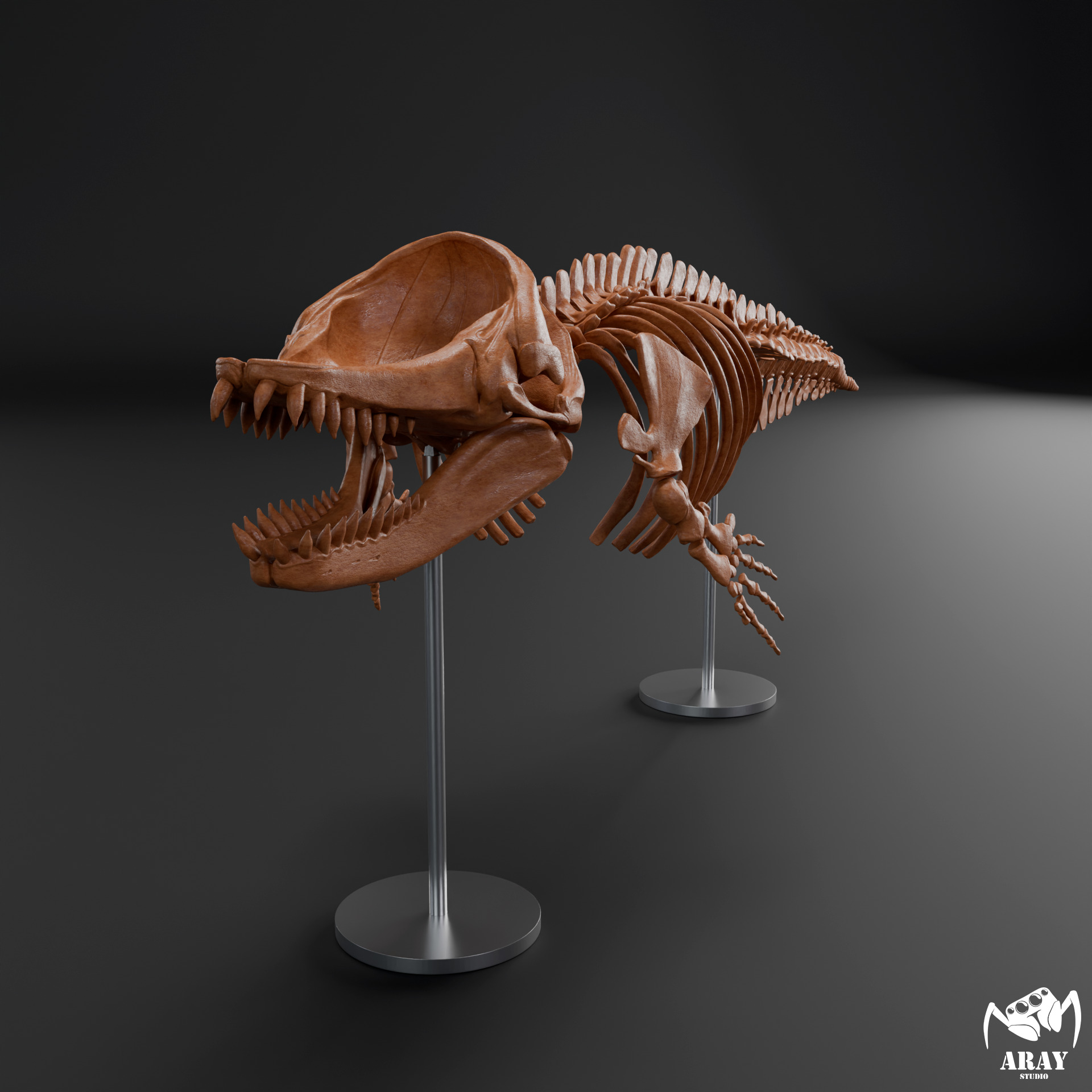 Livyatan melvillei skeleton 3D print model_2