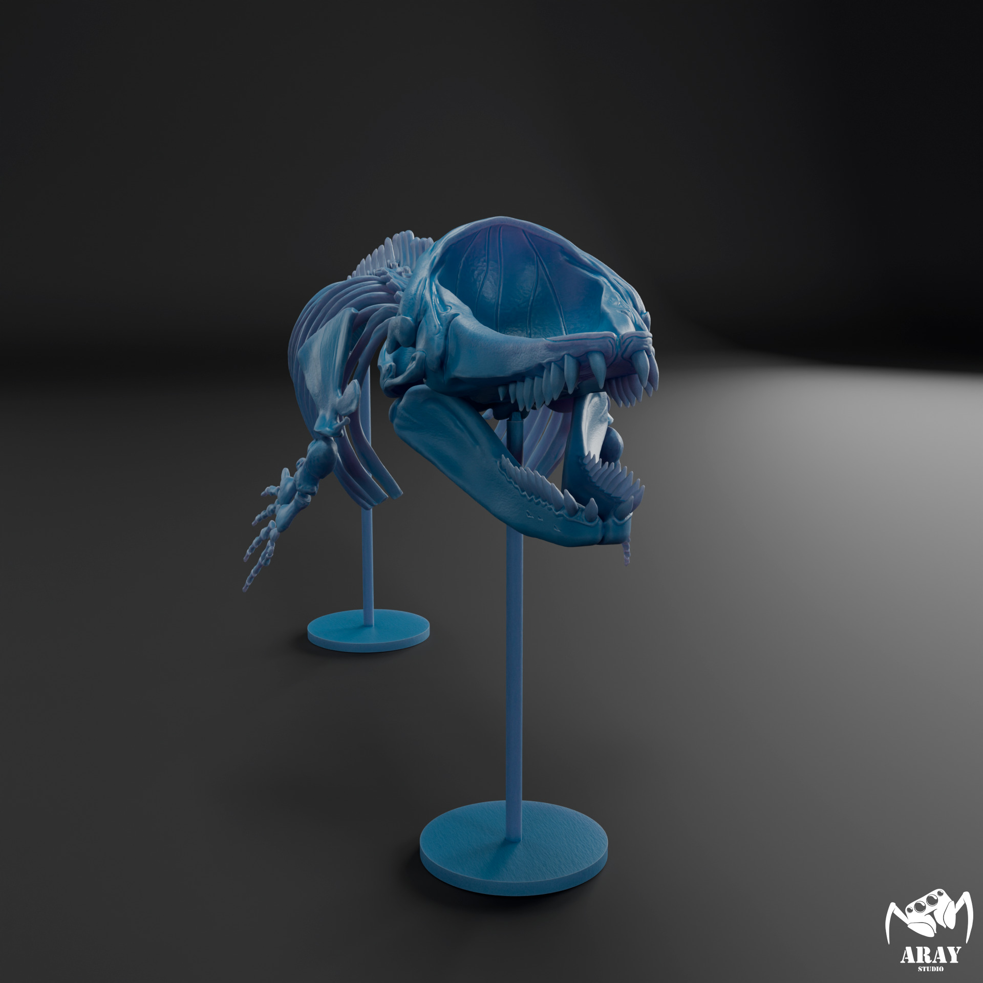 Livyatan melvillei skeleton 3D print model_8
