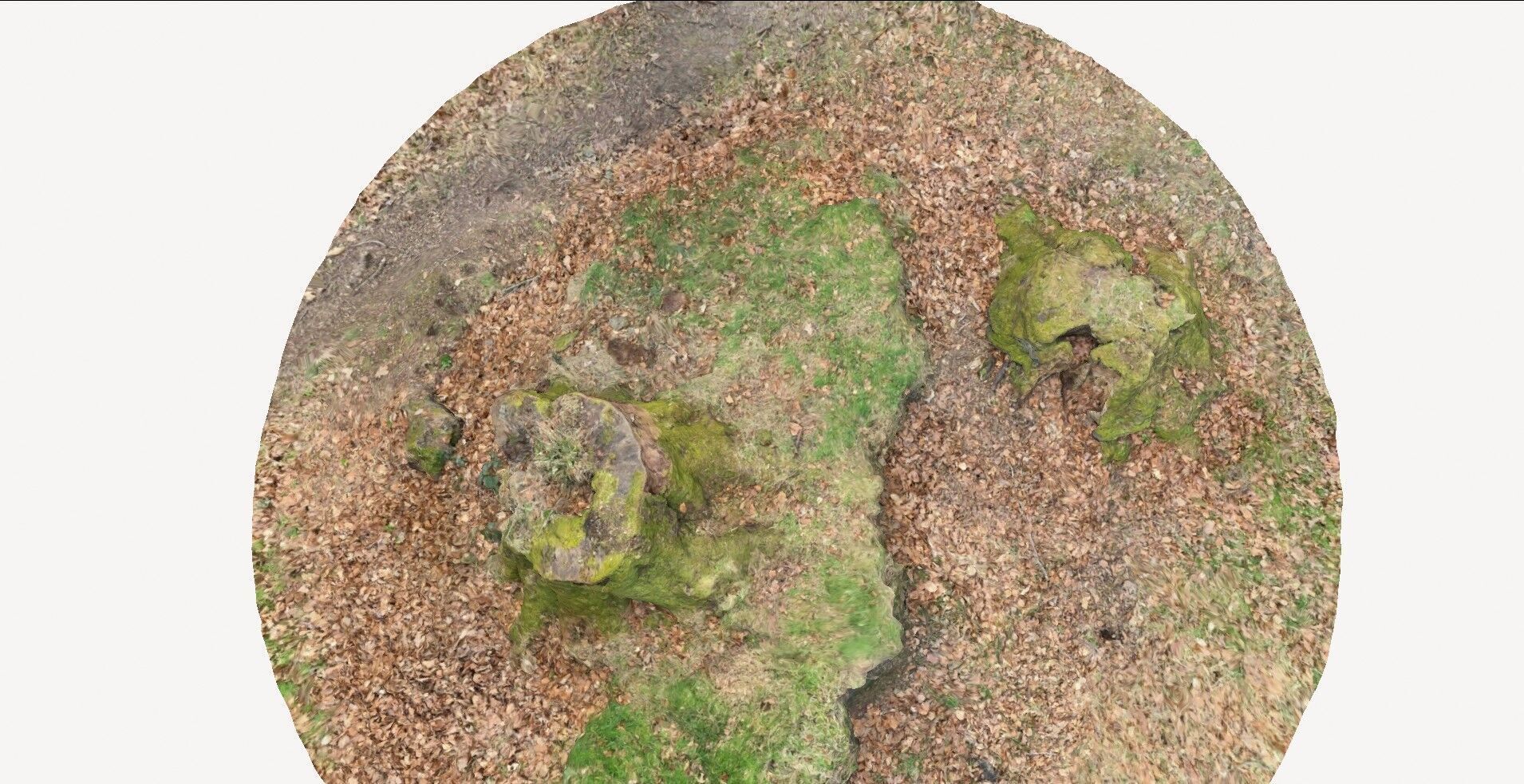 doable tree stump 1 3D model_8