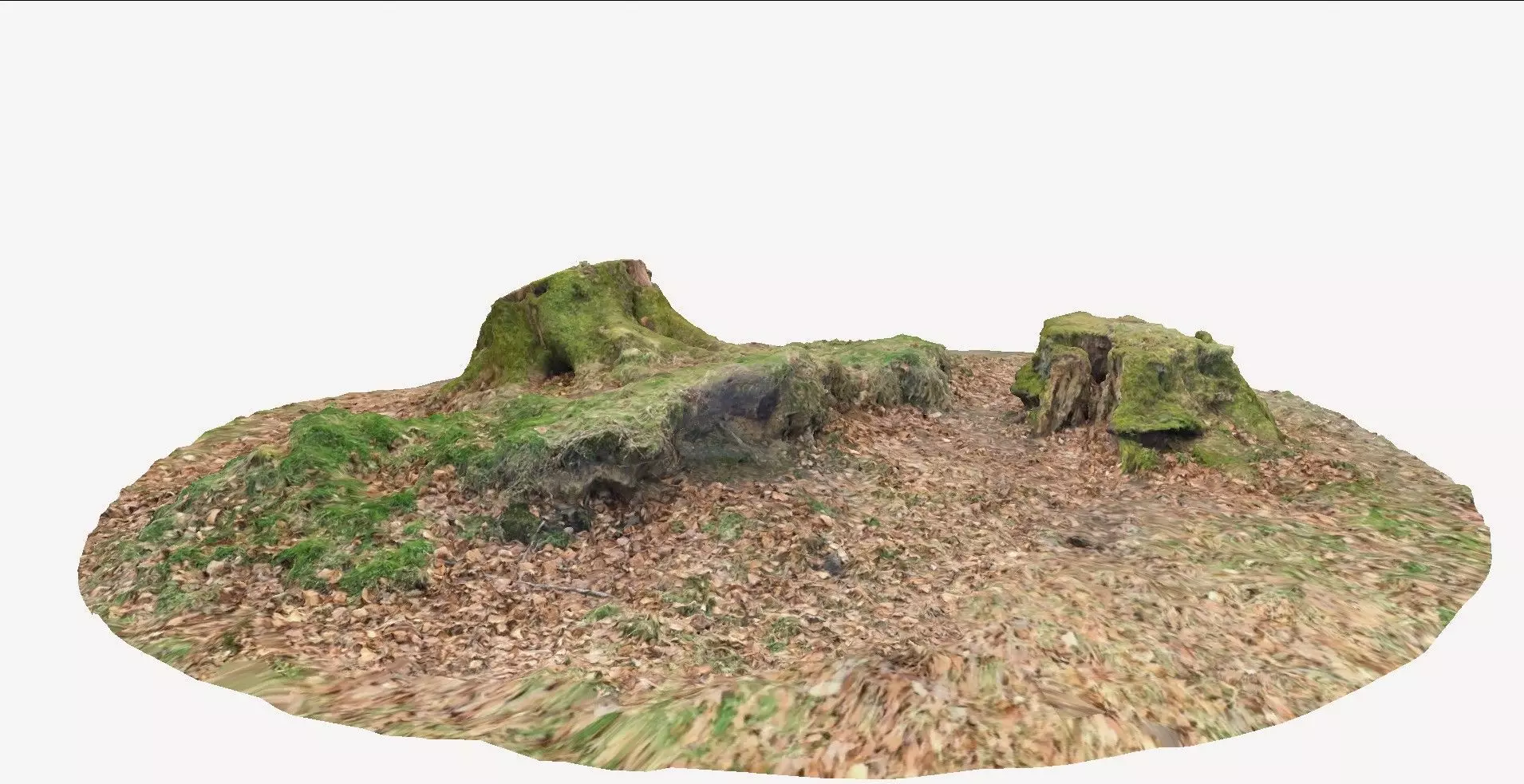 doable tree stump 1 3D model_0