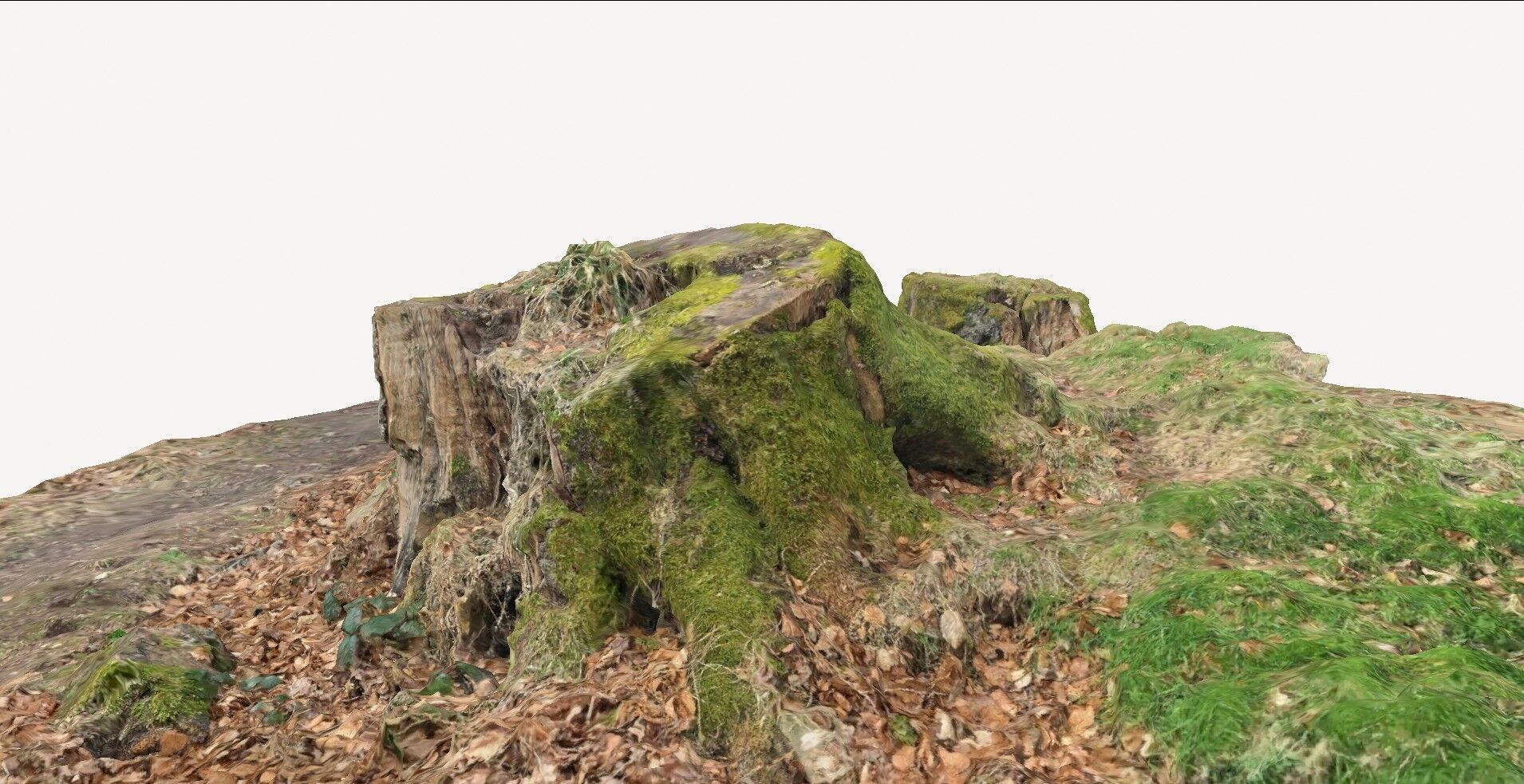 doable tree stump 1 3D model_2