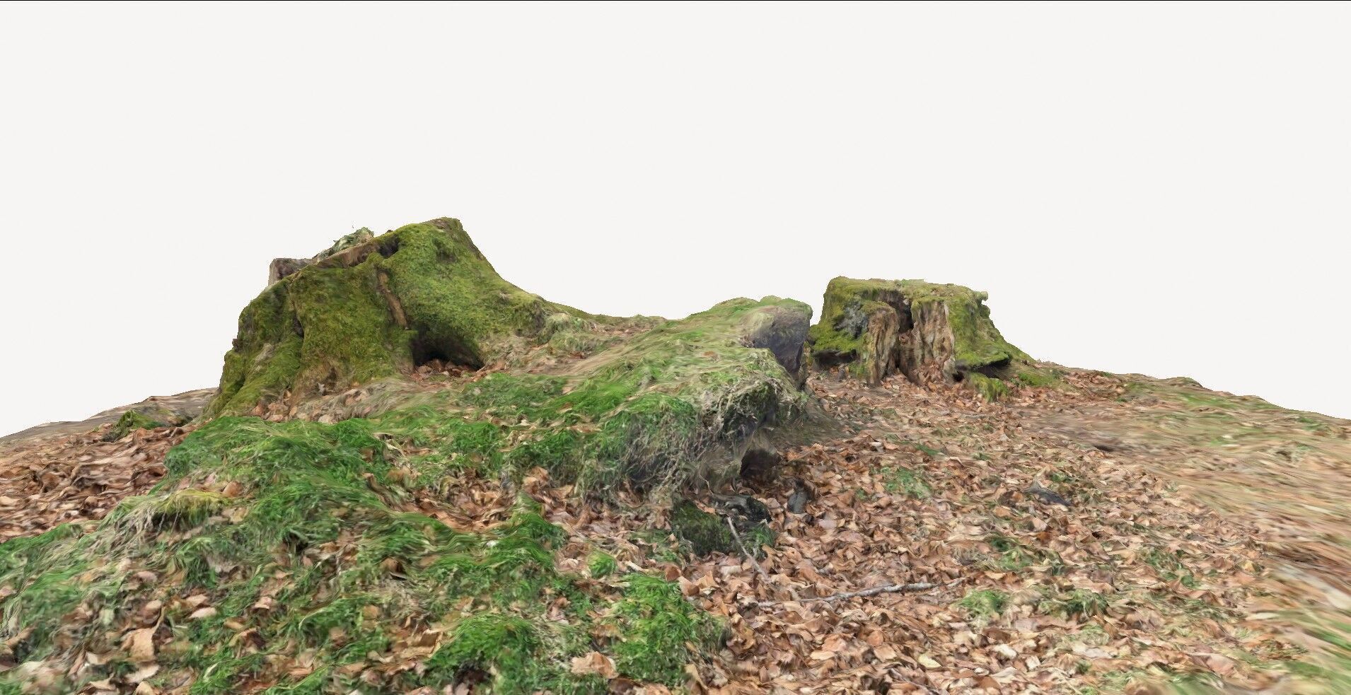 doable tree stump 1 3D model_5