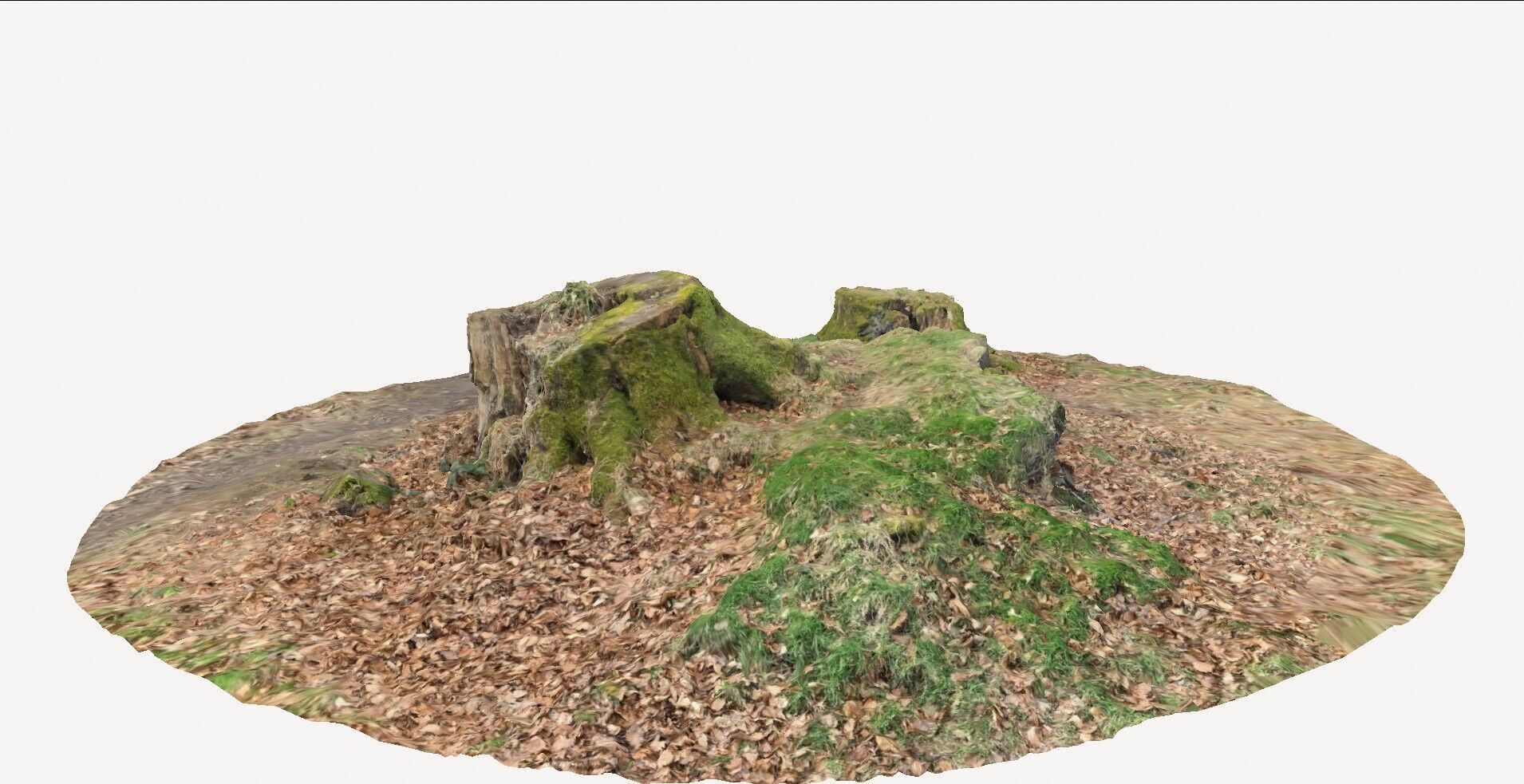 doable tree stump 1 3D model_1