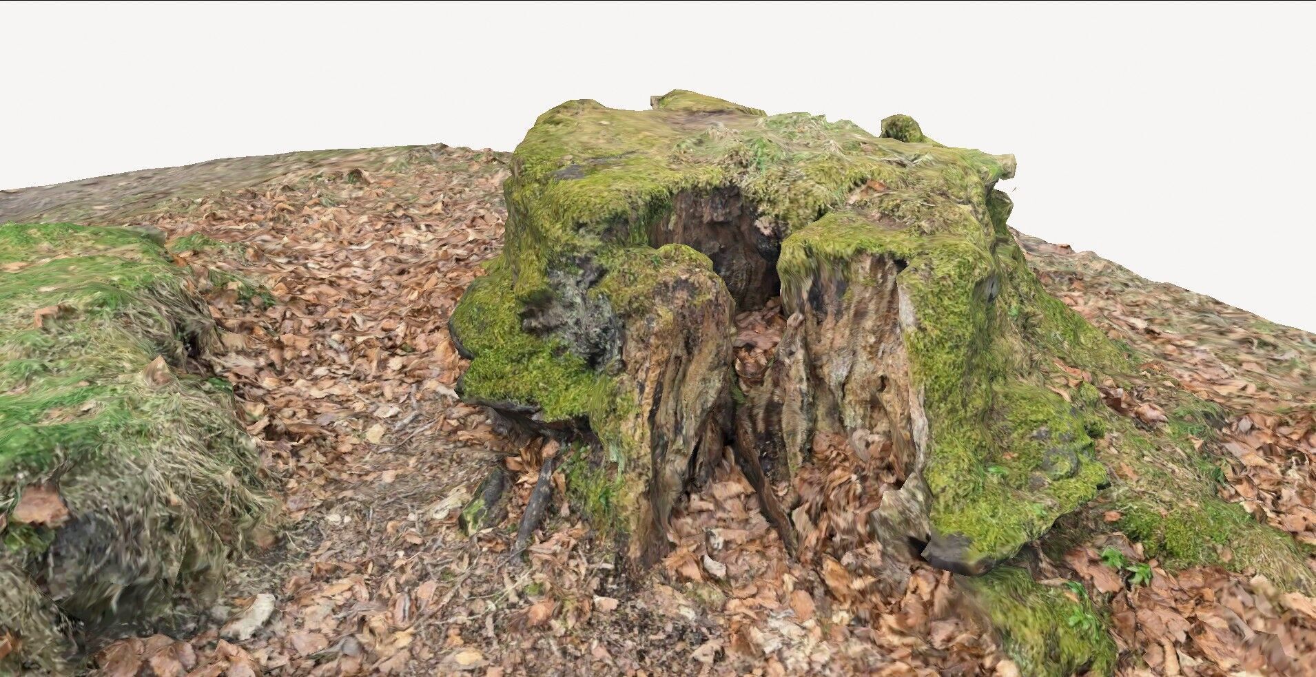 doable tree stump 1 3D model_4
