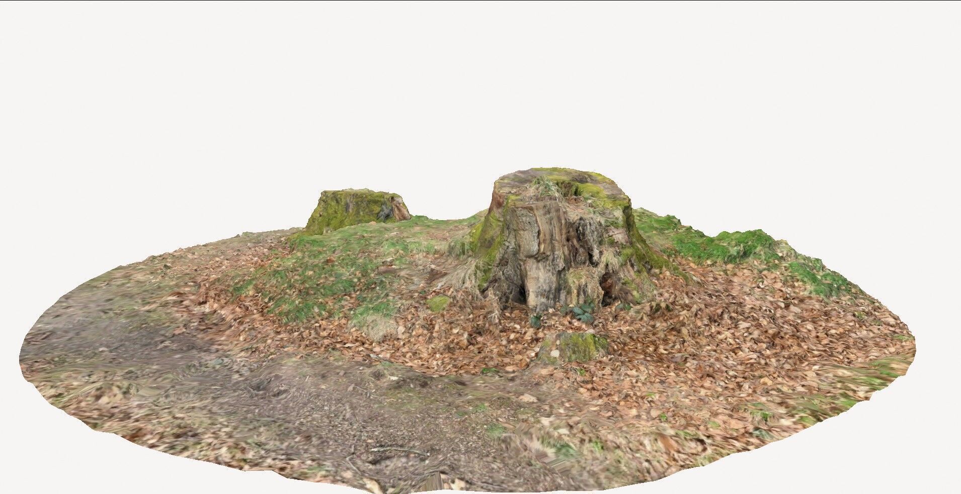 doable tree stump 1 3D model_3