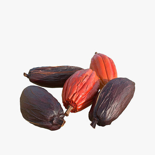 Cocoa Beans  Fruits Set Low-poly 3D model 3