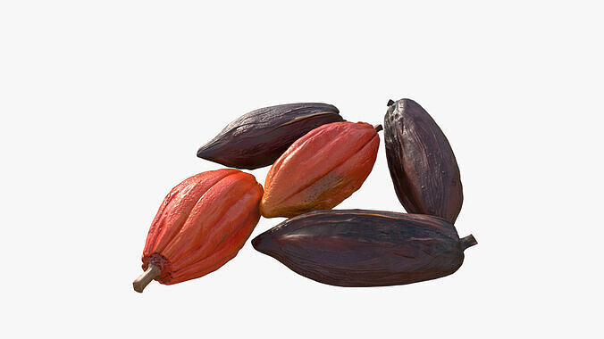 Cocoa Beans  Fruits Set Low-poly 3D model 6