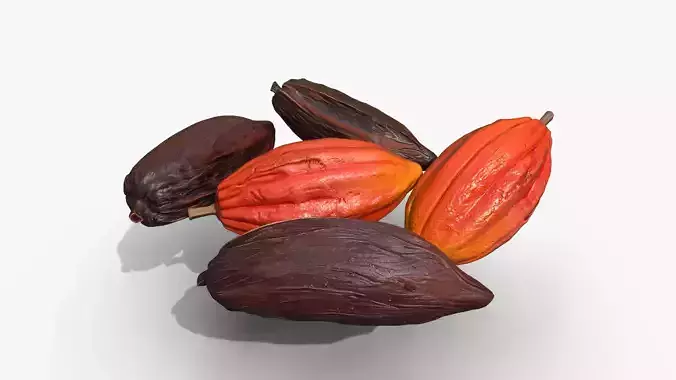 Cocoa Beans  Fruits Set