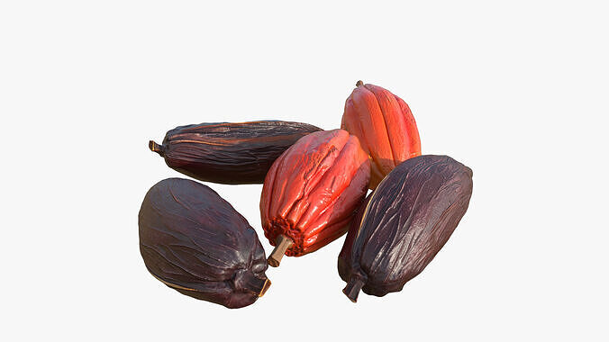Cocoa Beans  Fruits Set Low-poly 3D model 4