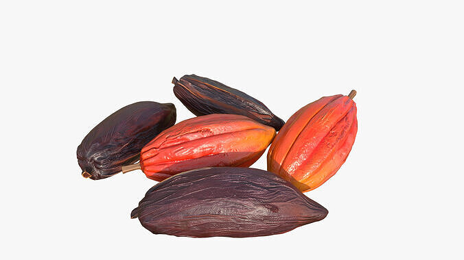 Cocoa Beans  Fruits Set Low-poly 3D model 7
