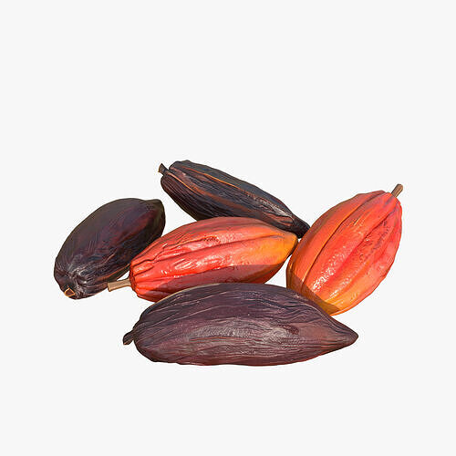 Cocoa Beans  Fruits Set Low-poly 3D model 2