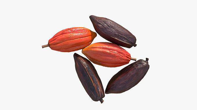 Cocoa Beans  Fruits Set Low-poly 3D model 5