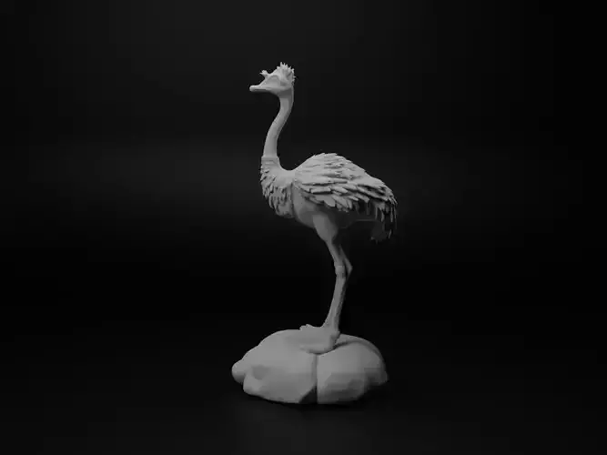 Ostrich Animal Figure