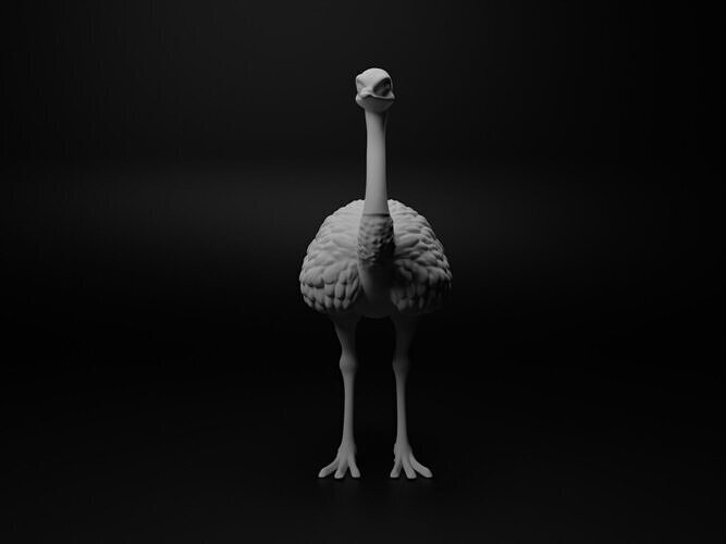 Ostrich Animal Figure 3D print model