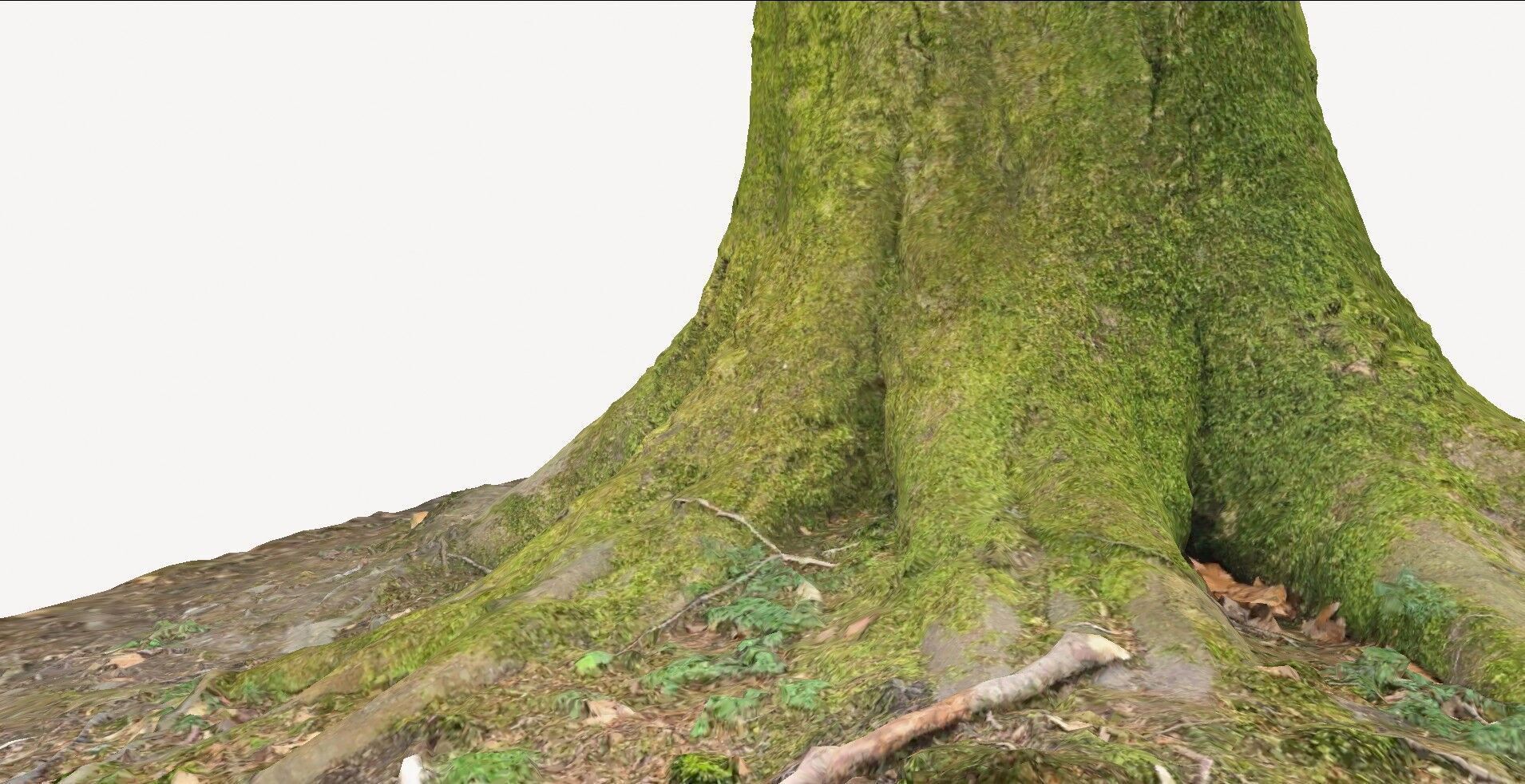 Tree Base 1 3D model_4