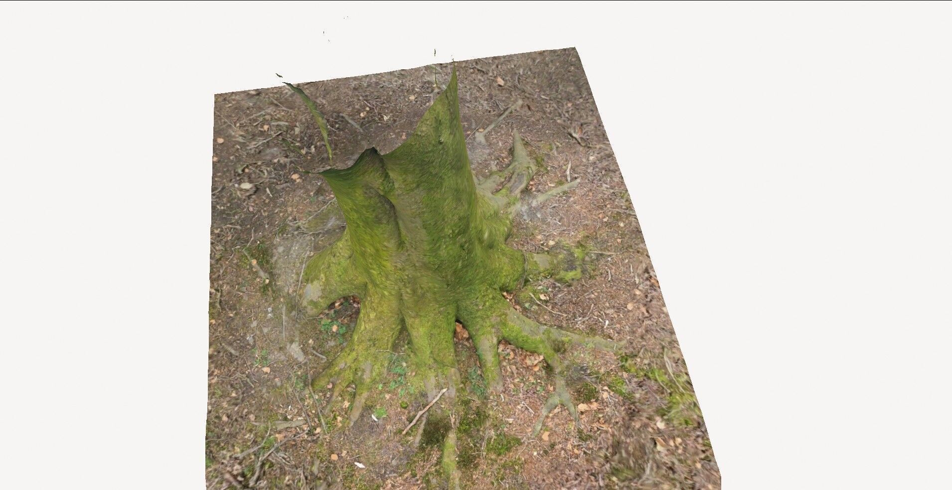 Tree Base 1 3D model_3