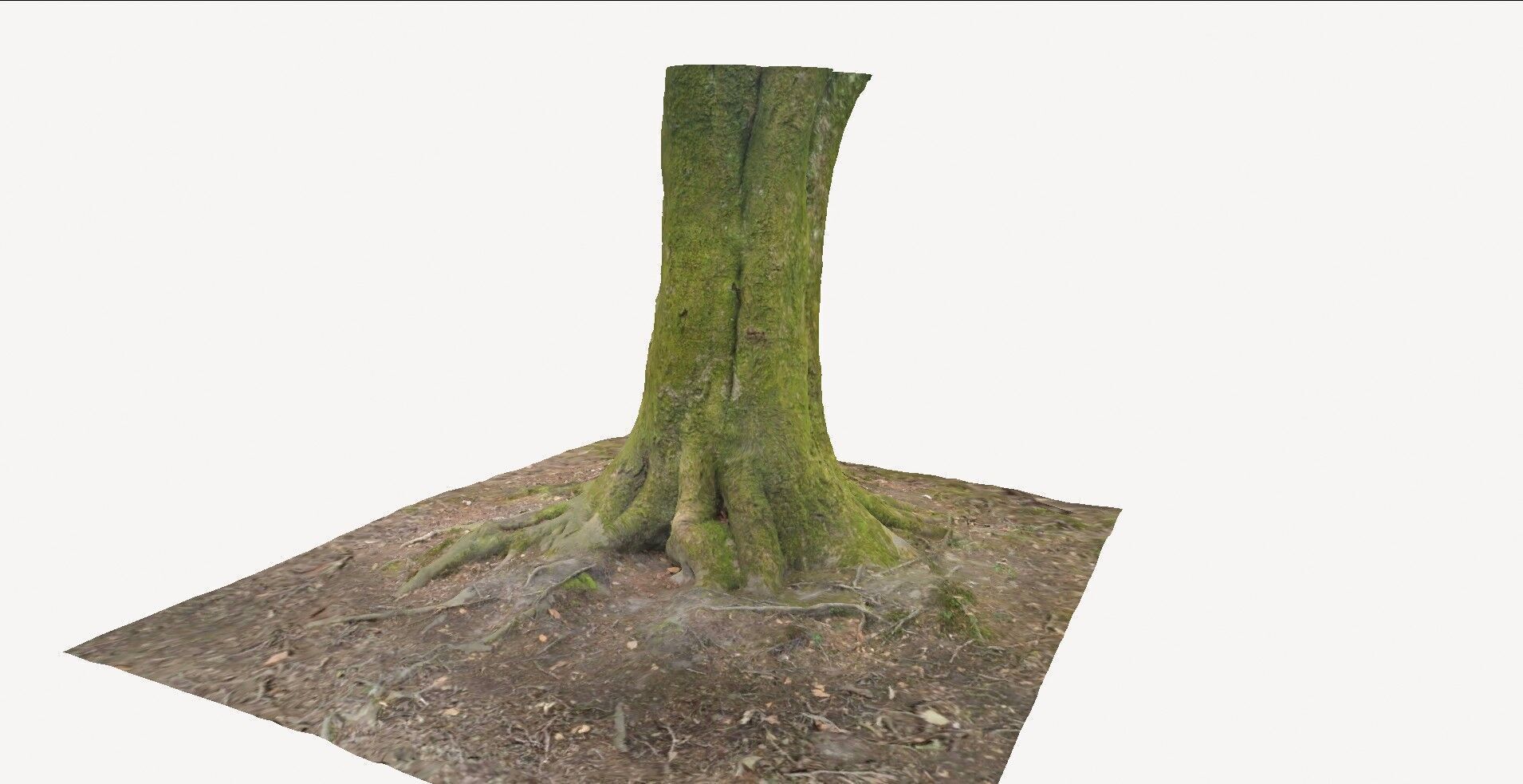 Tree Base 1 3D model_8