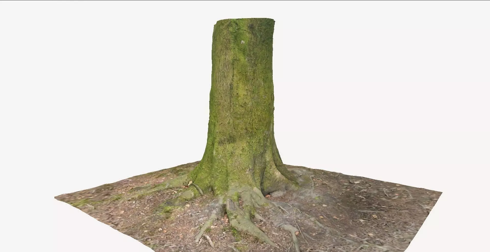 Tree Base 1 3D model_0