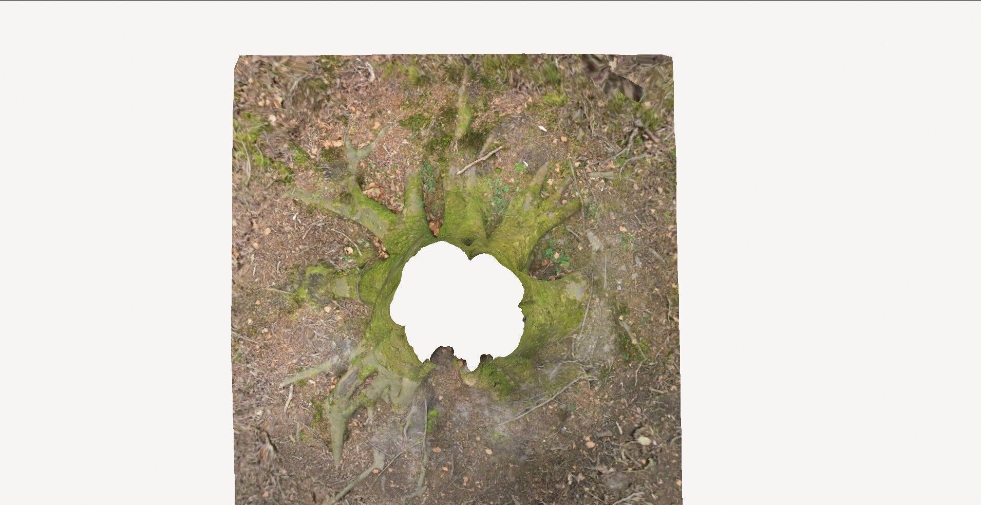 Tree Base 1 3D model_6