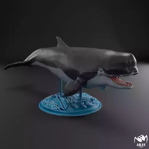 Livyatan melvillei 3D print model