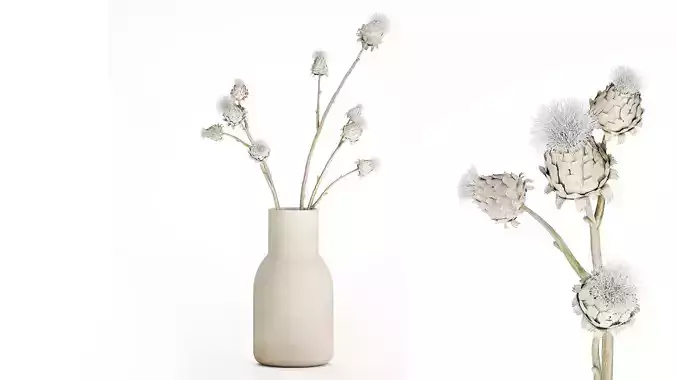 white bouquet dried flowers branches Thistle thorn 520