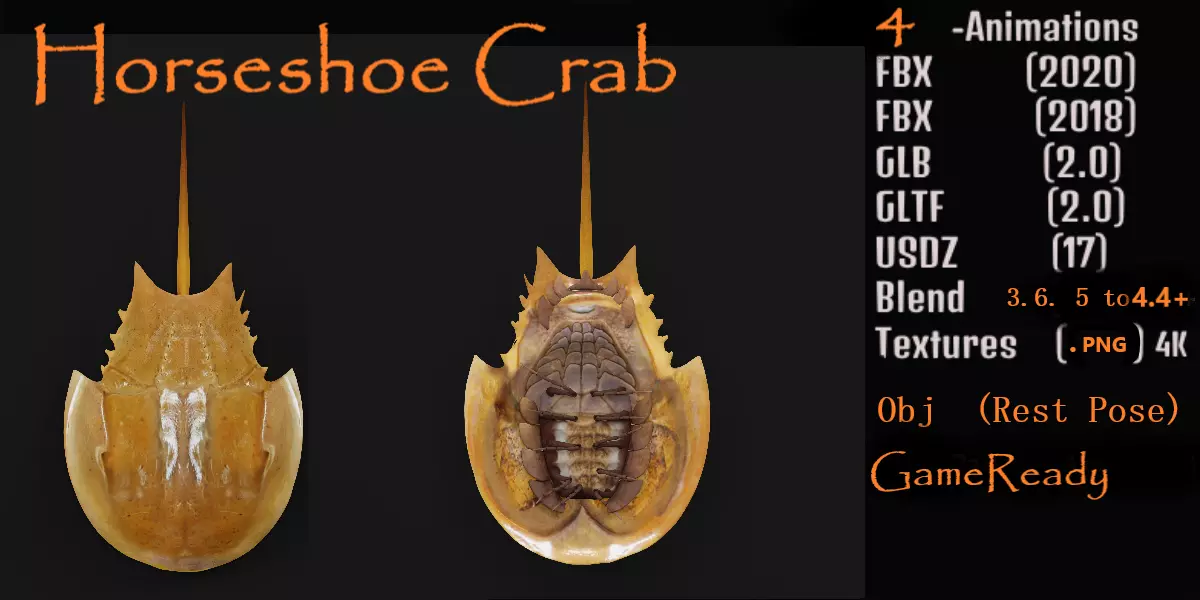Horseshoe Crab Low-poly 3D model