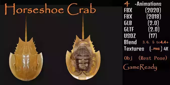 Horseshoe Crab
