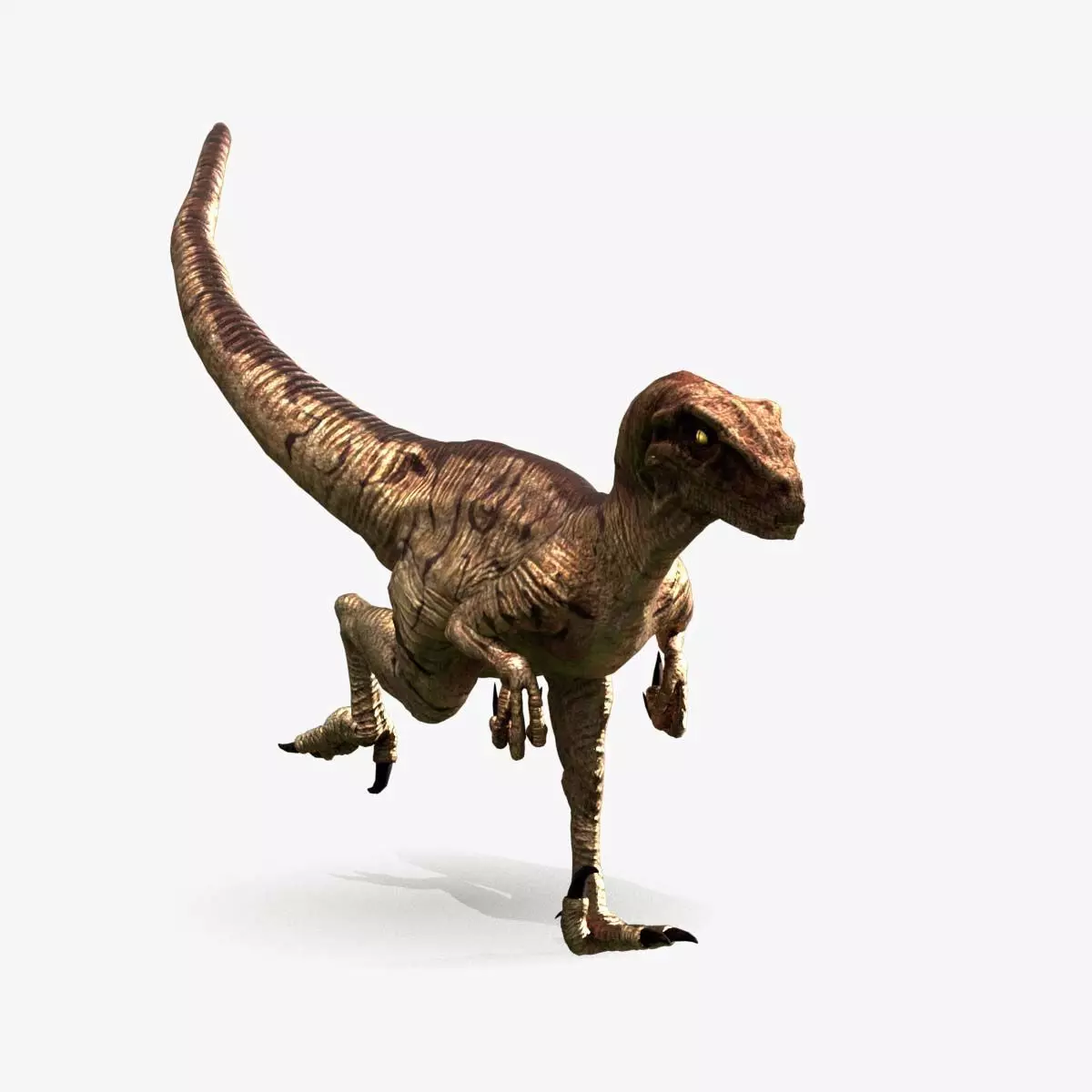 Velociraptor Low-poly 3D model