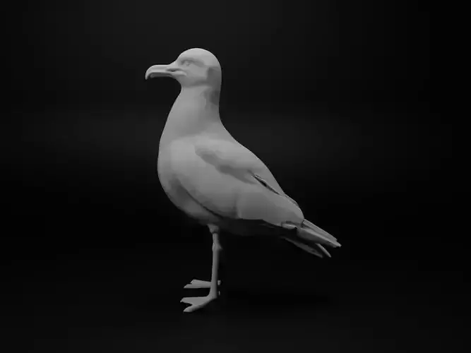 Seagull Animal Figure