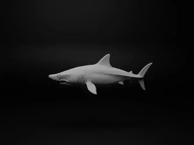 Shark Animal Figure