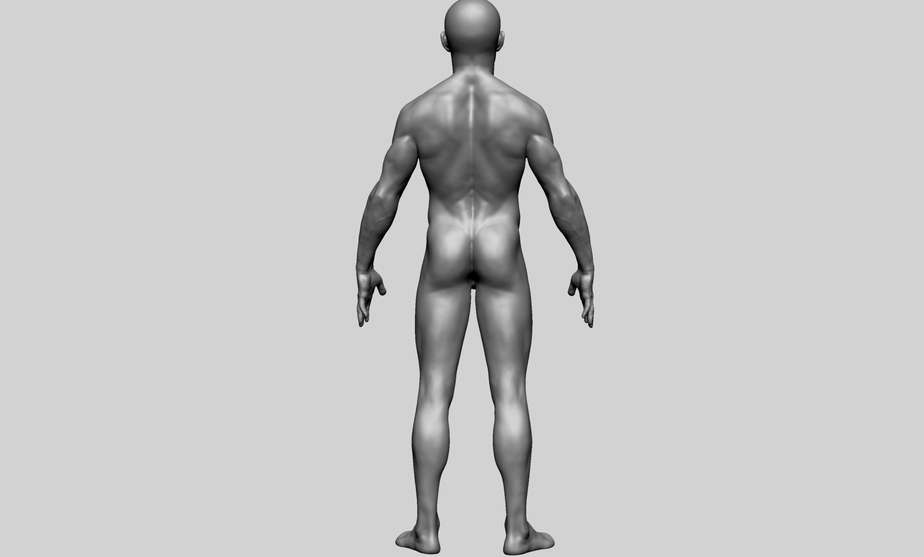Human Anatomy - Male B 3D model_5