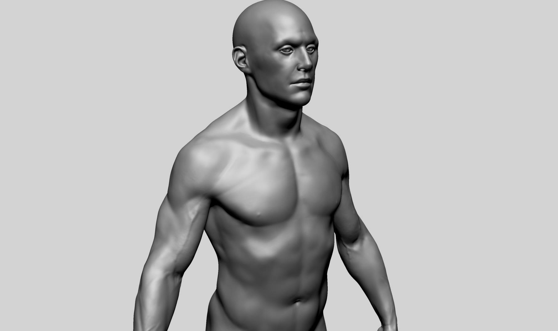 Human Anatomy - Male B 3D model_9