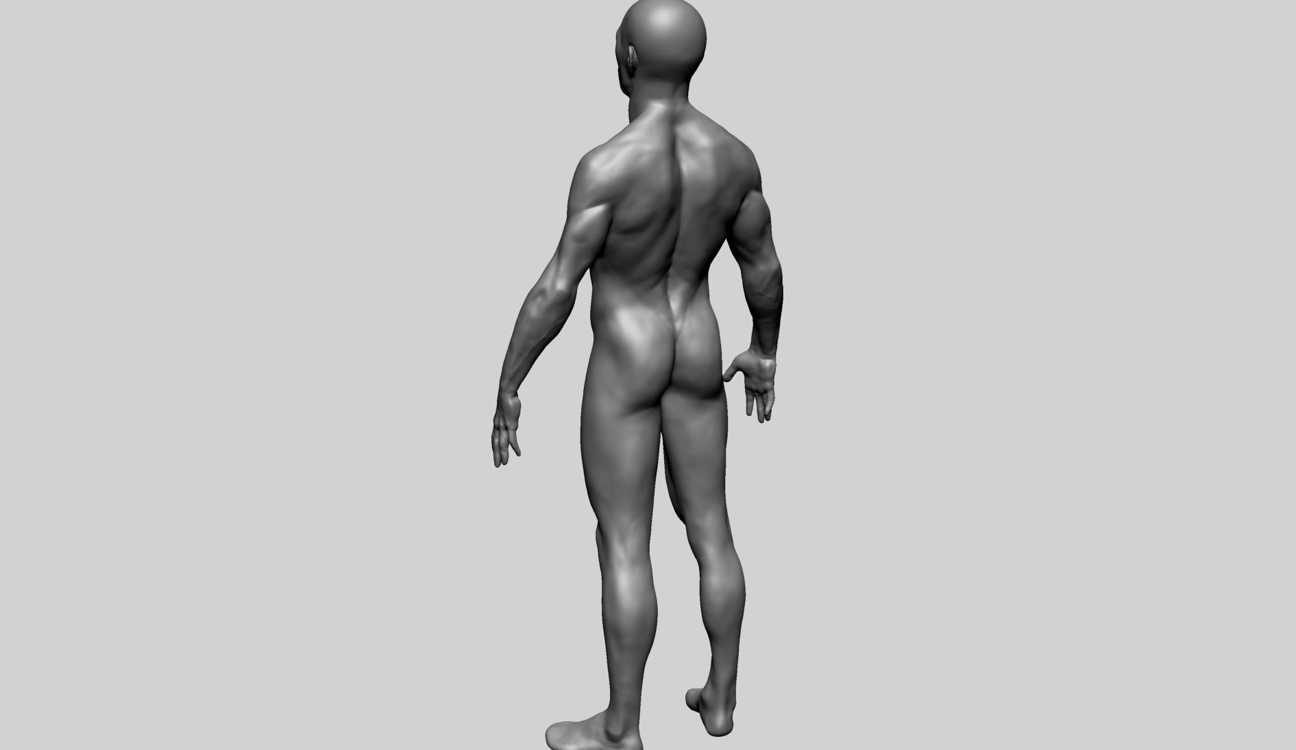 Human Anatomy - Male B 3D model_6