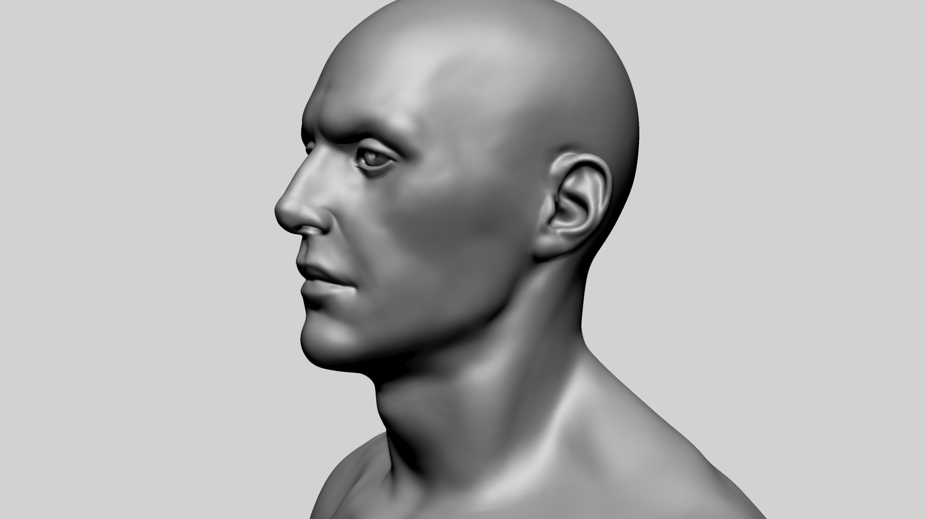 Human Anatomy - Male B 3D model_12