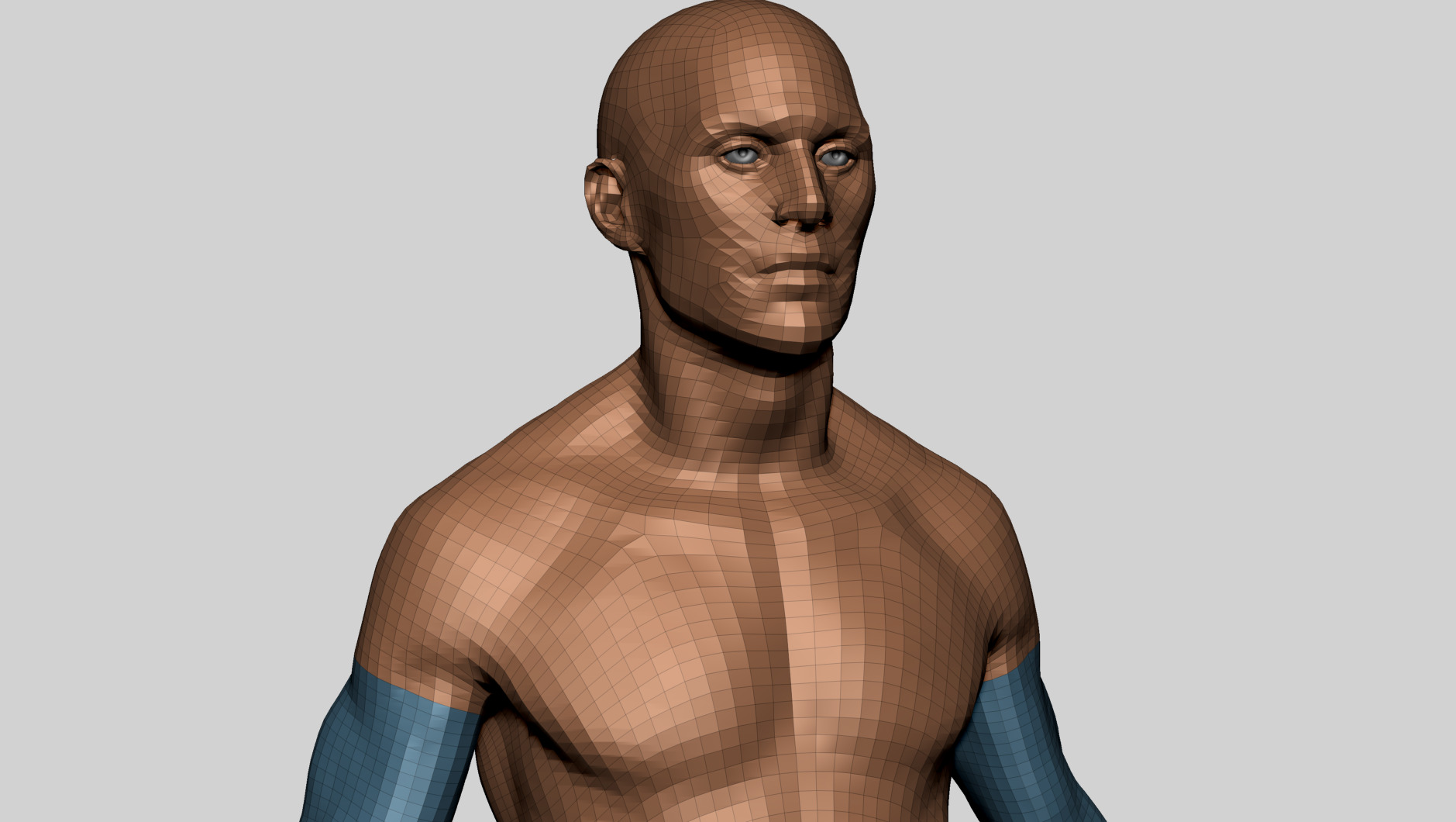 Human Anatomy - Male B 3D model_14