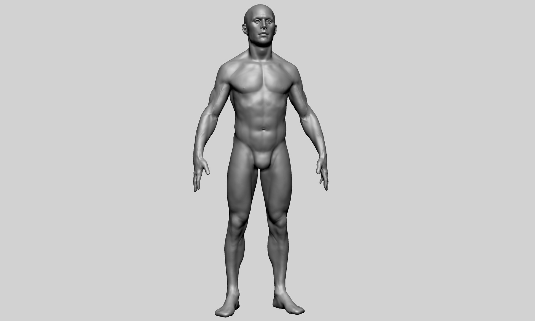 Human Anatomy - Male B 3D model_1