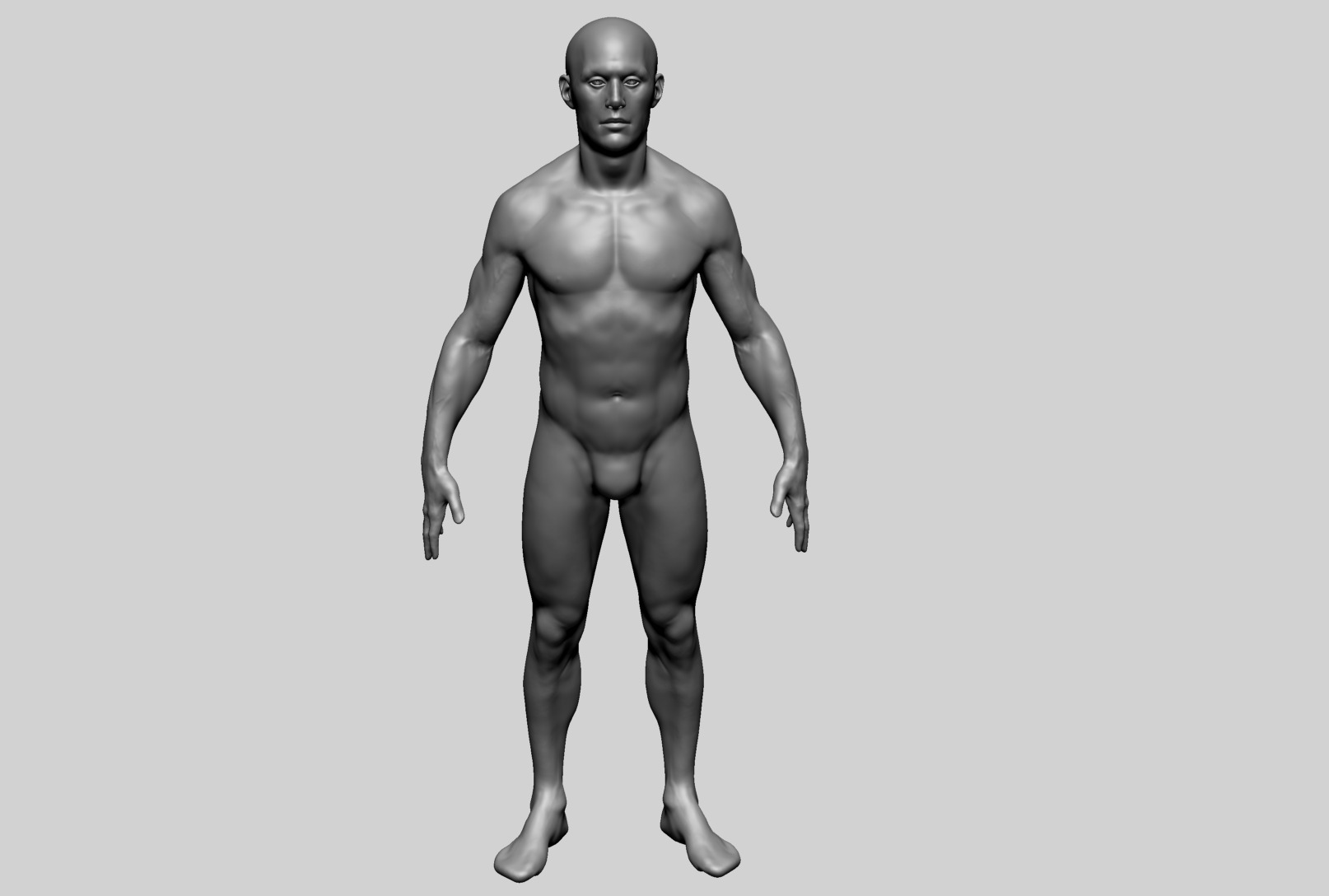 Human Anatomy - Male B 3D model_3
