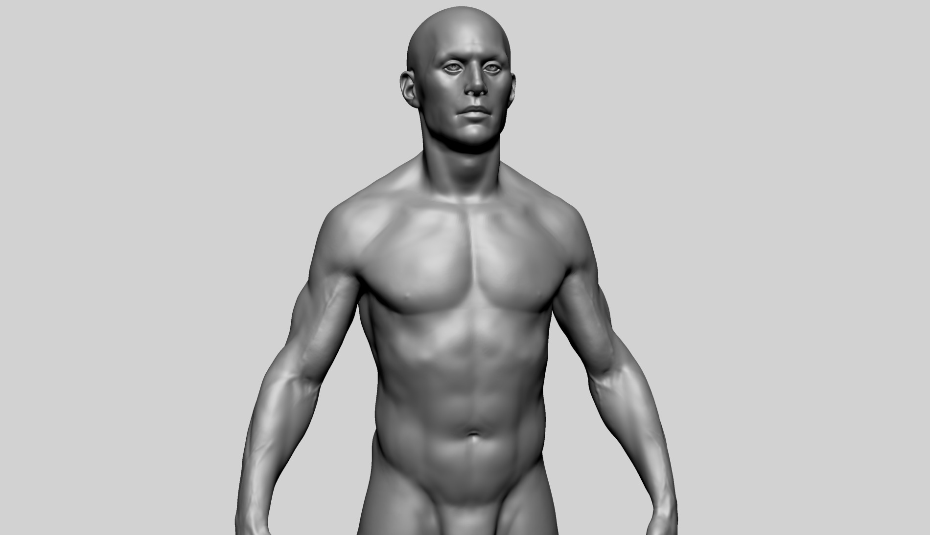 Human Anatomy - Male B 3D model_8