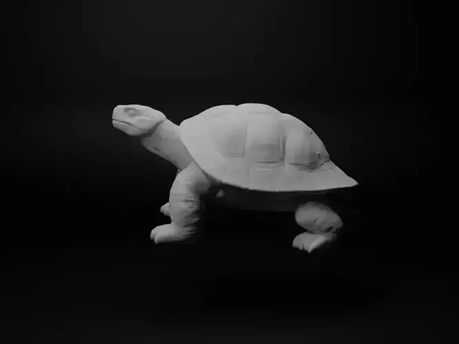 Turtle Animal Figure