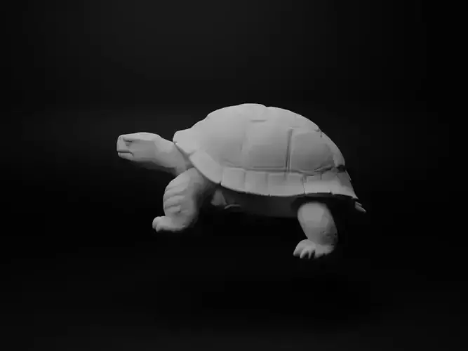 Turtle Animal Figure