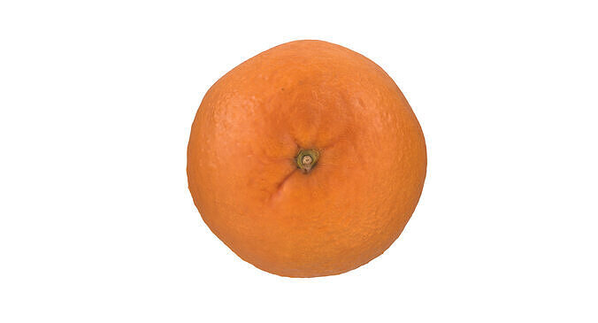 Half Of Orange Fruit 3D model 5