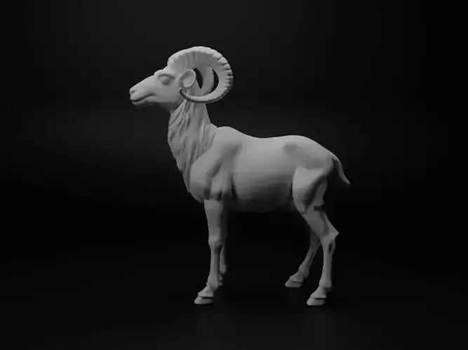 Wild sheep Animal Figure