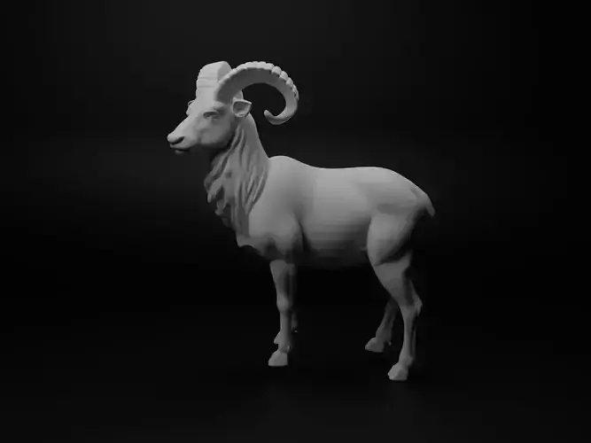 Wild sheep Animal Figure