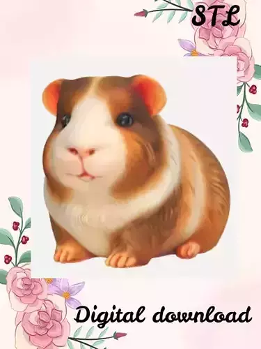 guinea pig model 