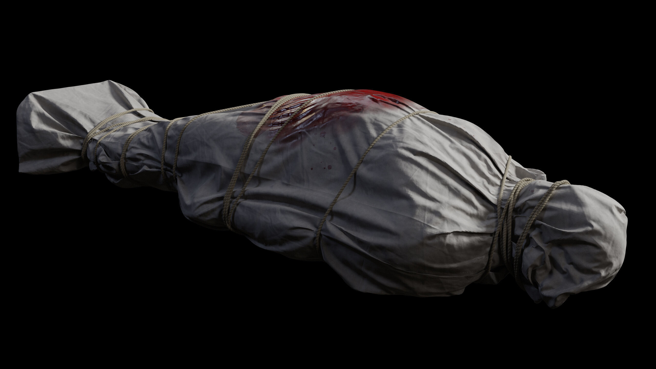 Covered Corpse 09 Low-Poly Low-poly 3D model_13