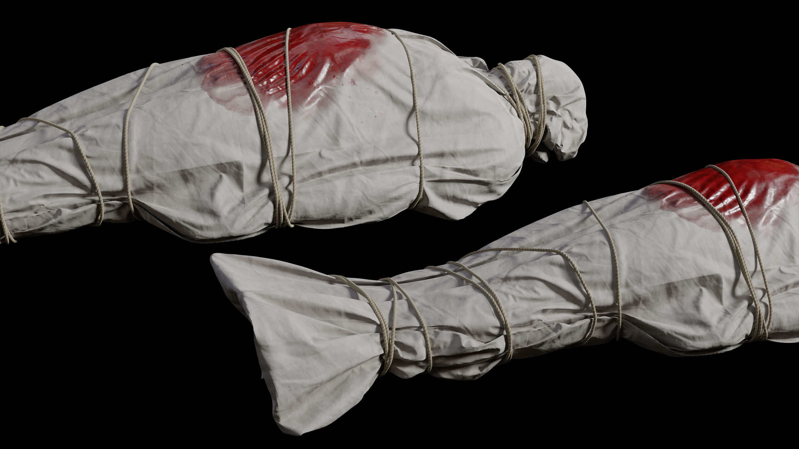 Covered Corpse 09 Low-Poly Low-poly 3D model_12