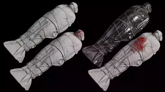 Covered Corpse 09 Low-Poly