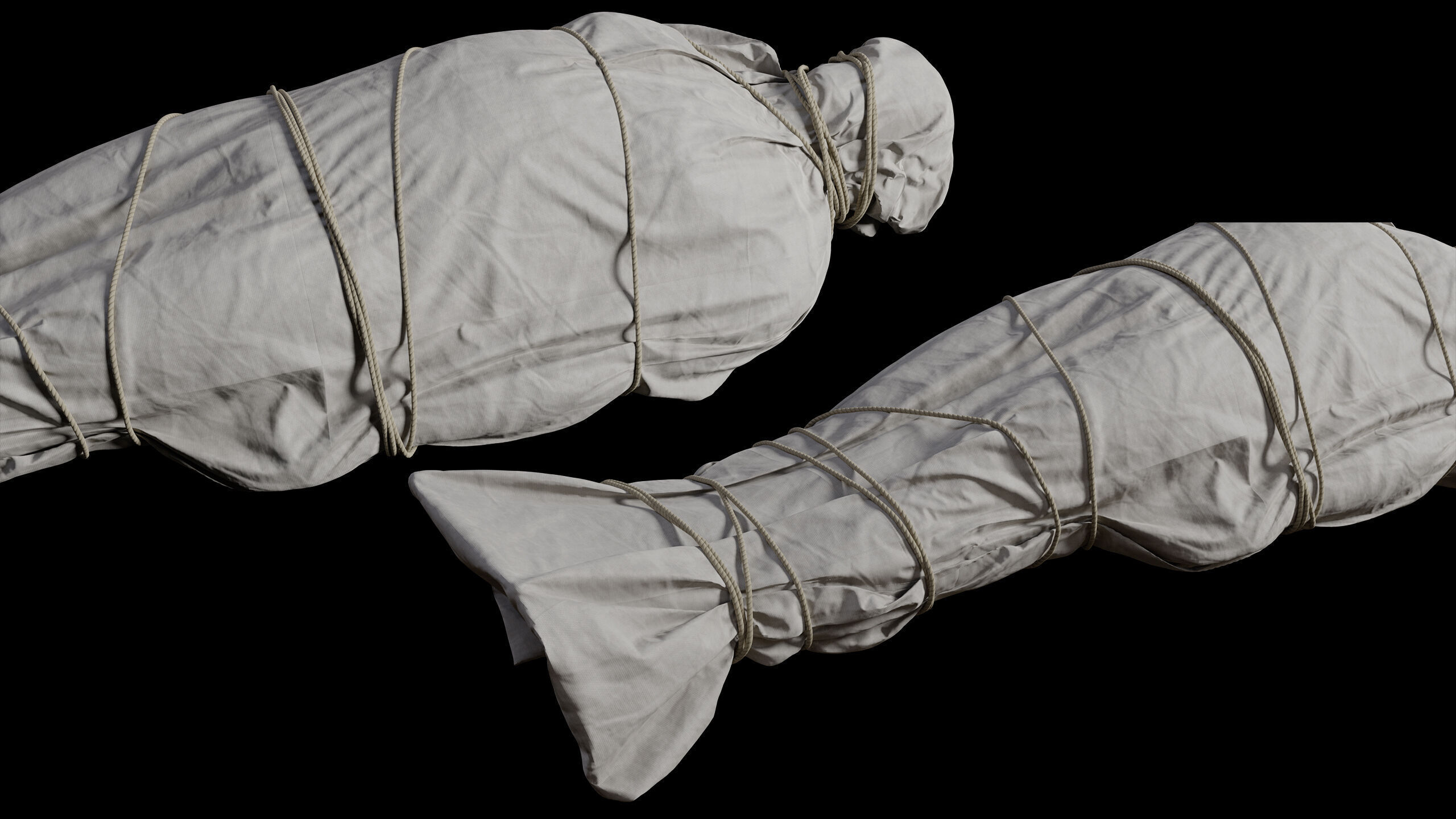 Covered Corpse 09 Low-Poly Low-poly 3D model_4