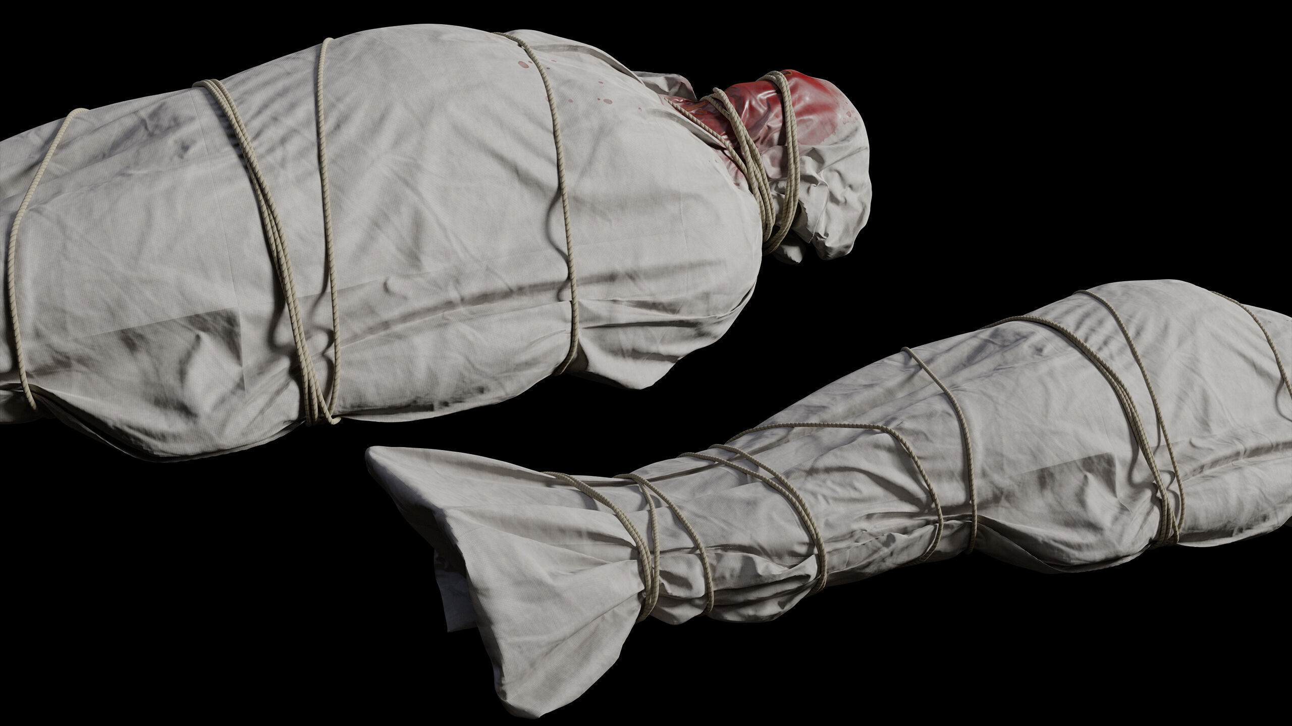 Covered Corpse 09 Low-Poly Low-poly 3D model_8